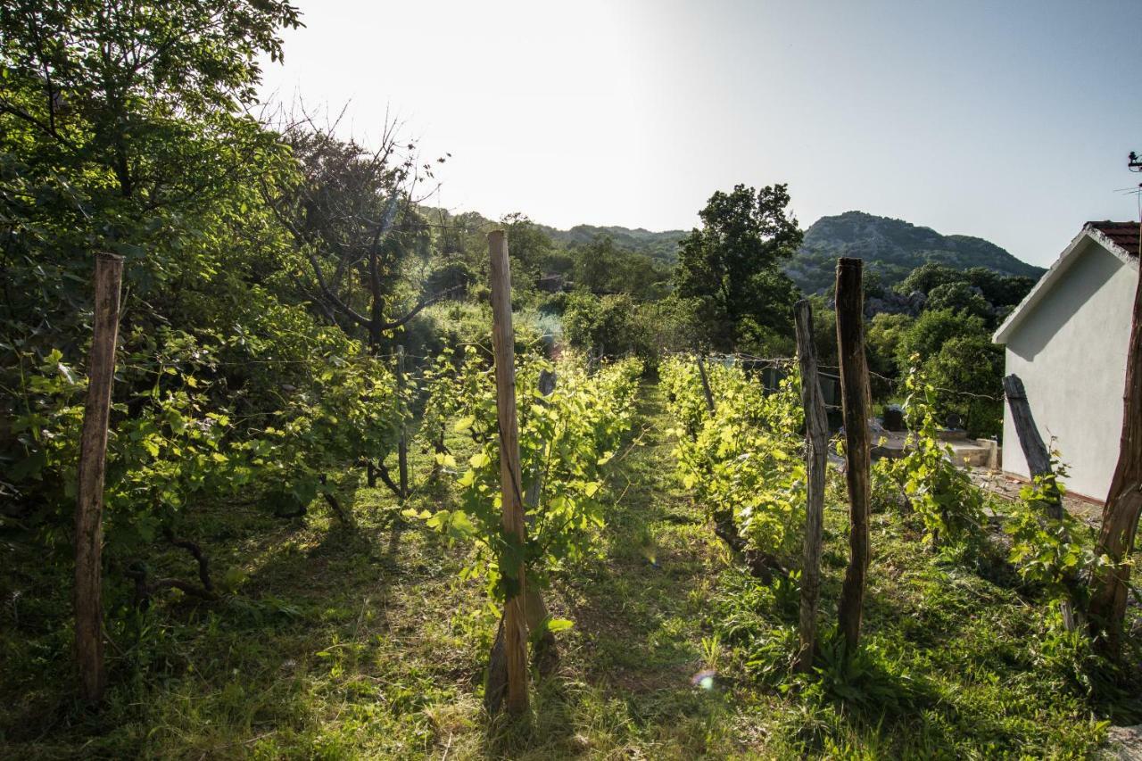 Banjo Rustic House Lake View Virpazar Extérieur photo